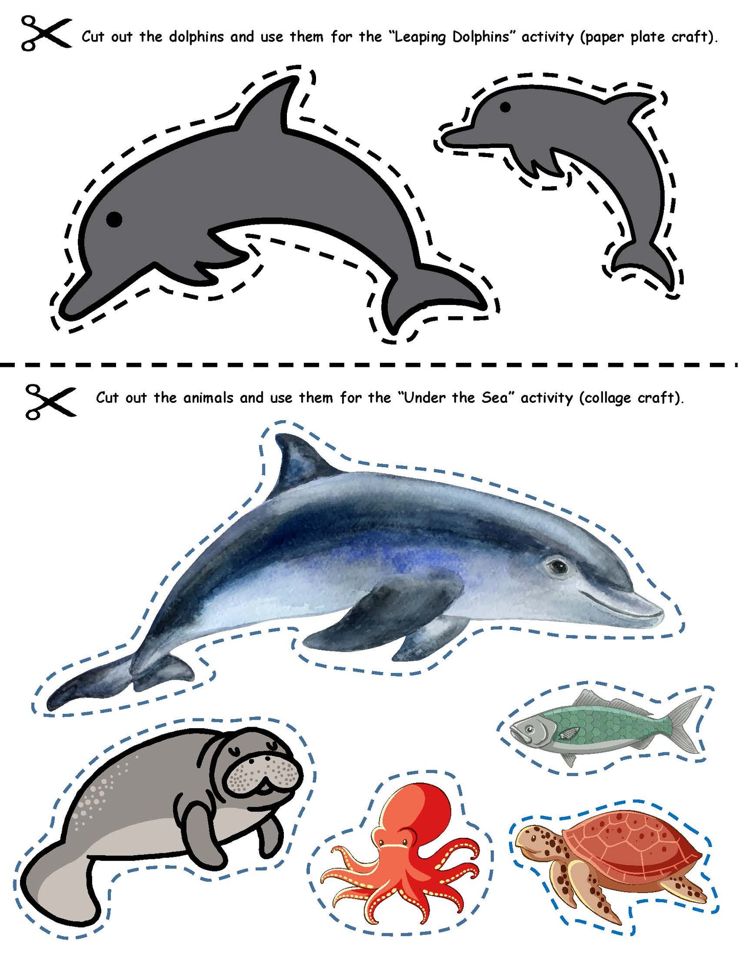 Ivy Kids Kit - If a Dolphin Were a Fish