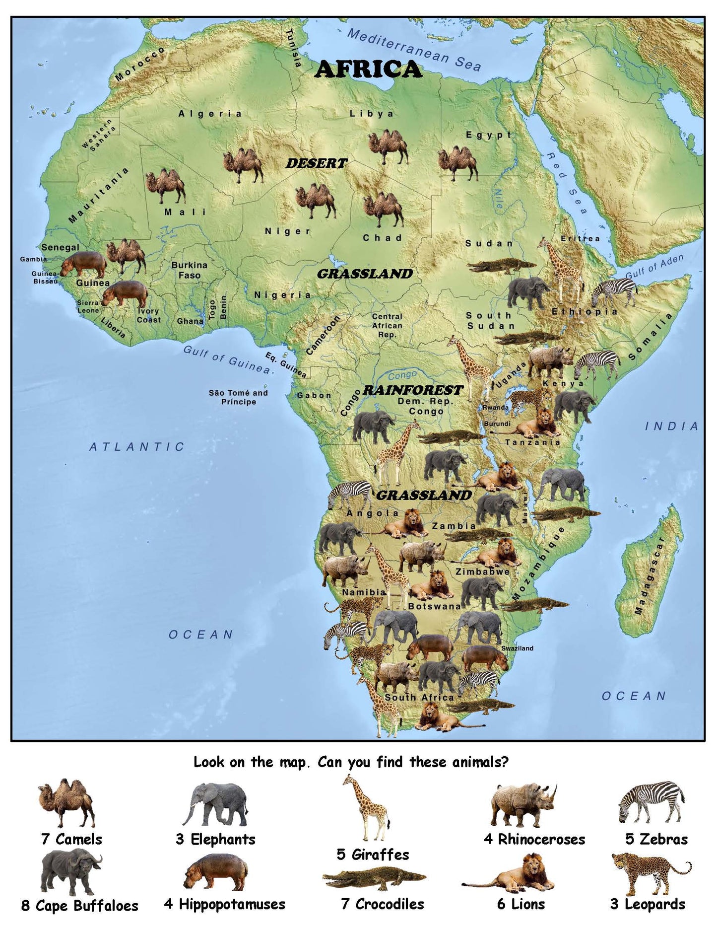 Ivy Kids kit - Let's Explore...Safari