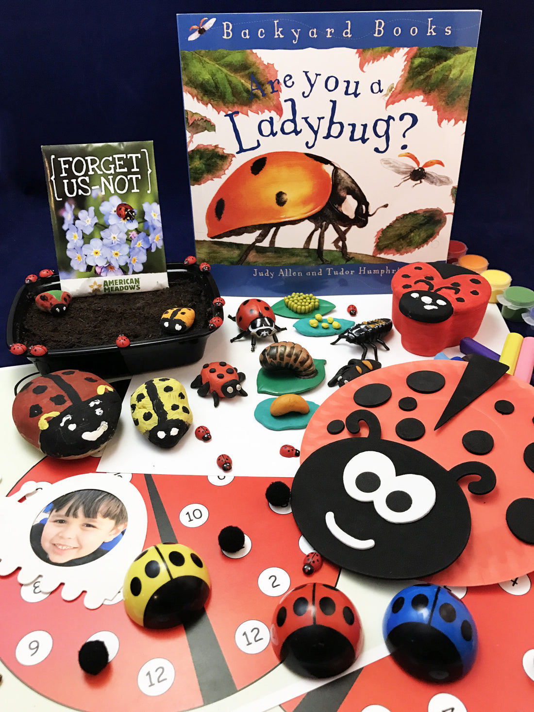 April's Subscription Kit - Are You A Ladybug?
