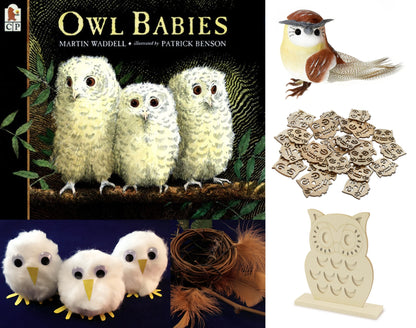 Owl Babies and STEM Activities