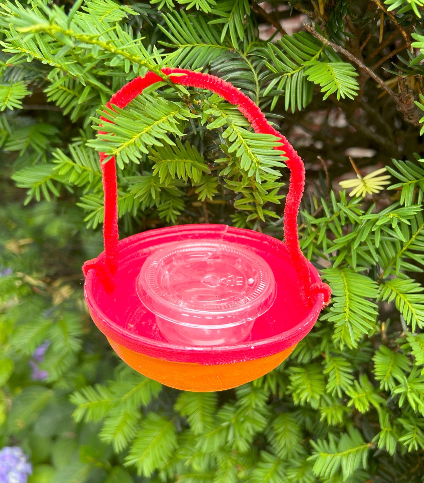 DIY Hummingbird Feeder