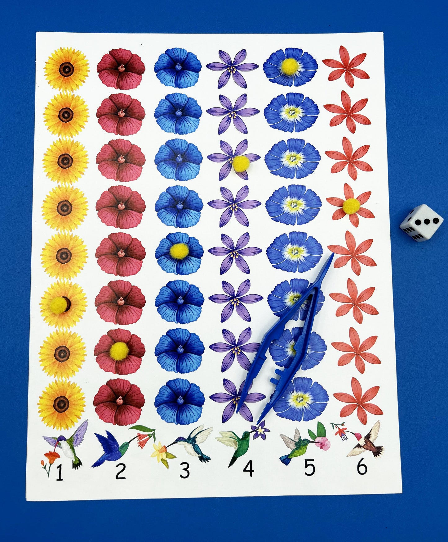 Pollen Race Math Game