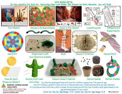Canyon and Desert Themed STEM activities based on Over and Under a Canyon