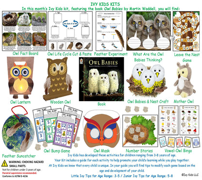 Owl Babies book and STEM activities