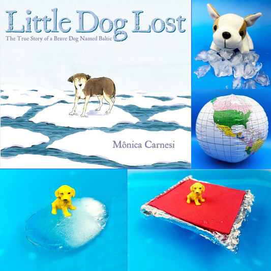 Little Dog Lost  Book Inspired STEM activities