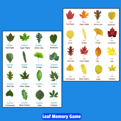 Leaf Varieties Memory Game