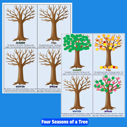 Four Seasons of a Tree