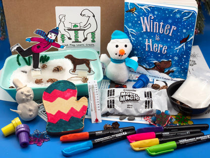 Winter STEM activities Subscription box for kids