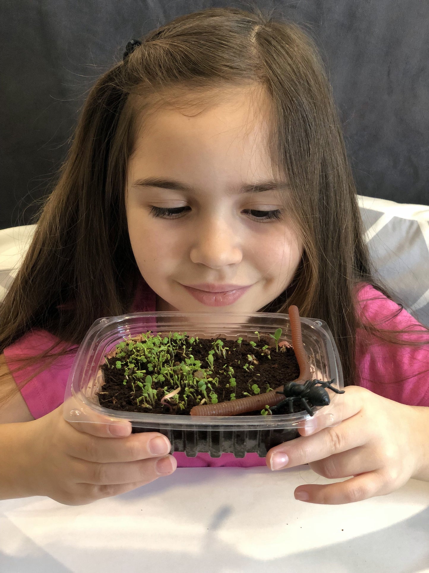 Spring activities planting with Kids 