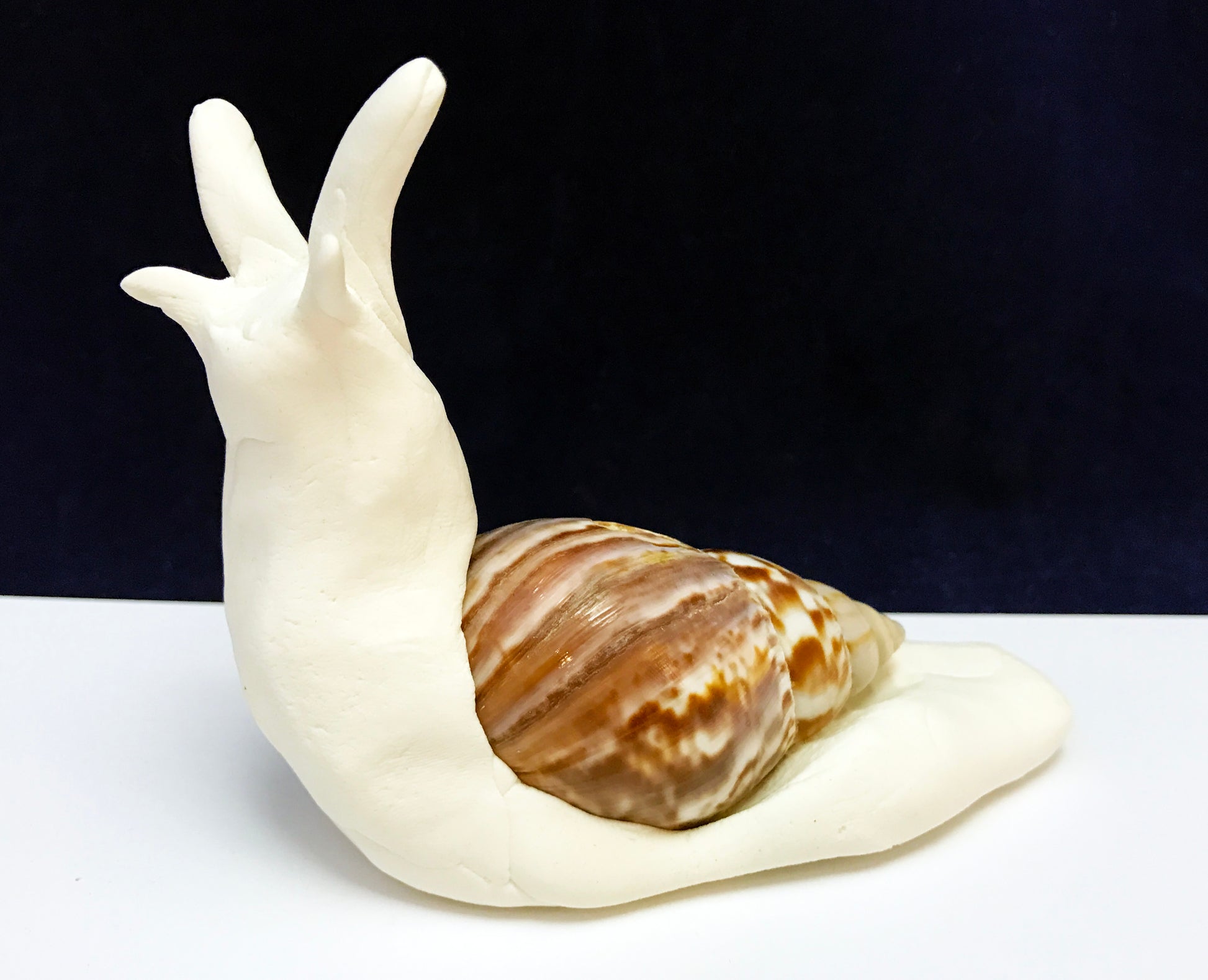Kids science snail art activity. Use clay and a shell to make a snail.