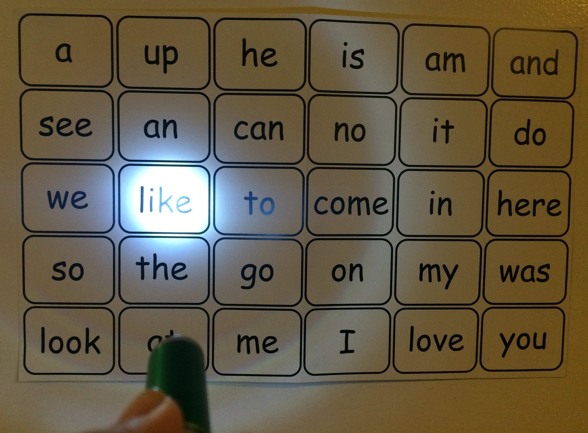 Literacy Activity Find the Sight Words with a Flashlight- Inspired by The Very Lonely Firefly by Eric Carle