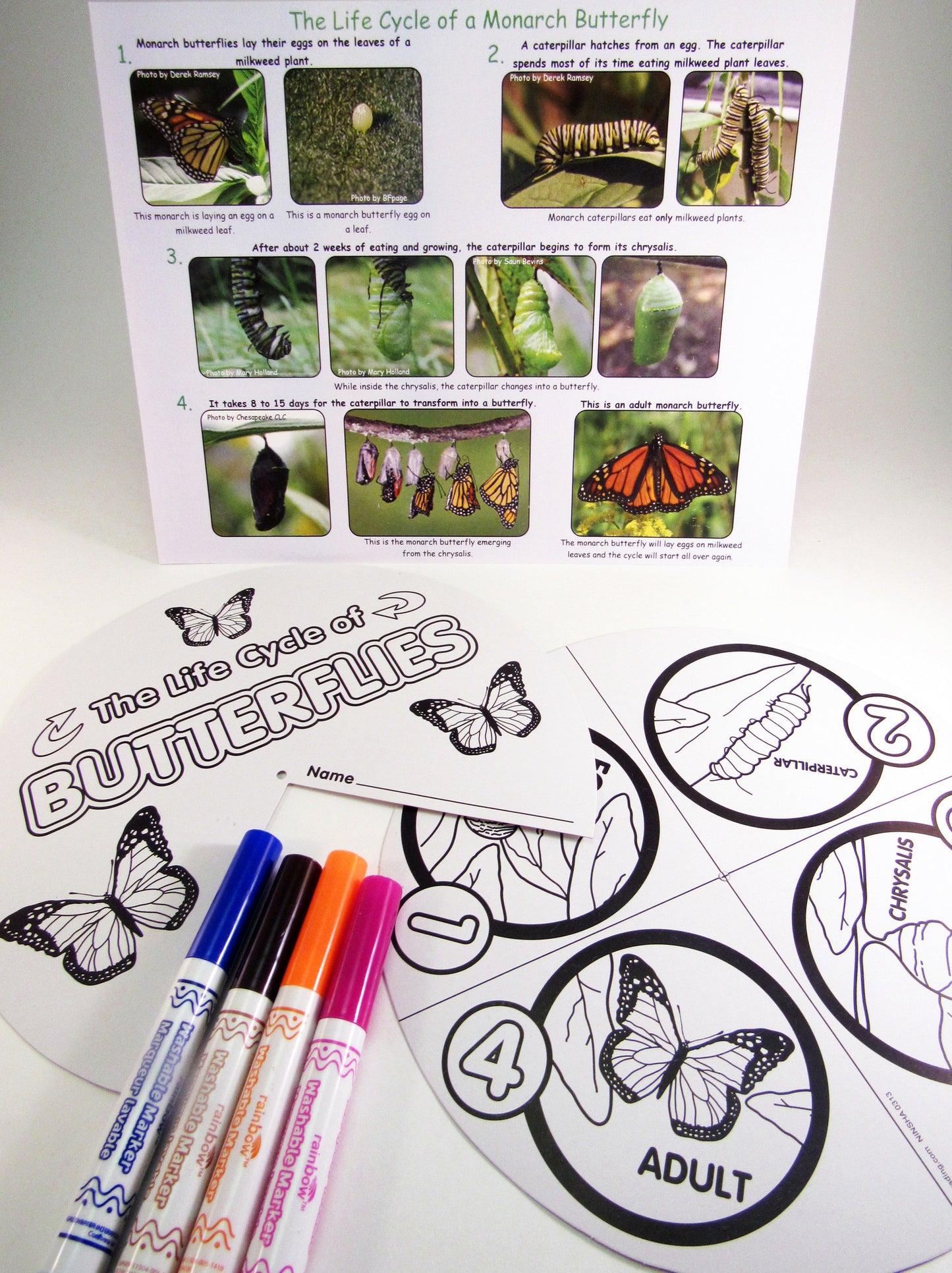 Monarch butterfly Life Cycle Wheel - Ivy Kids Educational Activity Kit featuring the book Gotta Go! Gotta Go! by Sam Swope and over 10 art, literacy, math, and science activities inspired by the story. Learn about monarch butterflies. Perfect kit for spring.