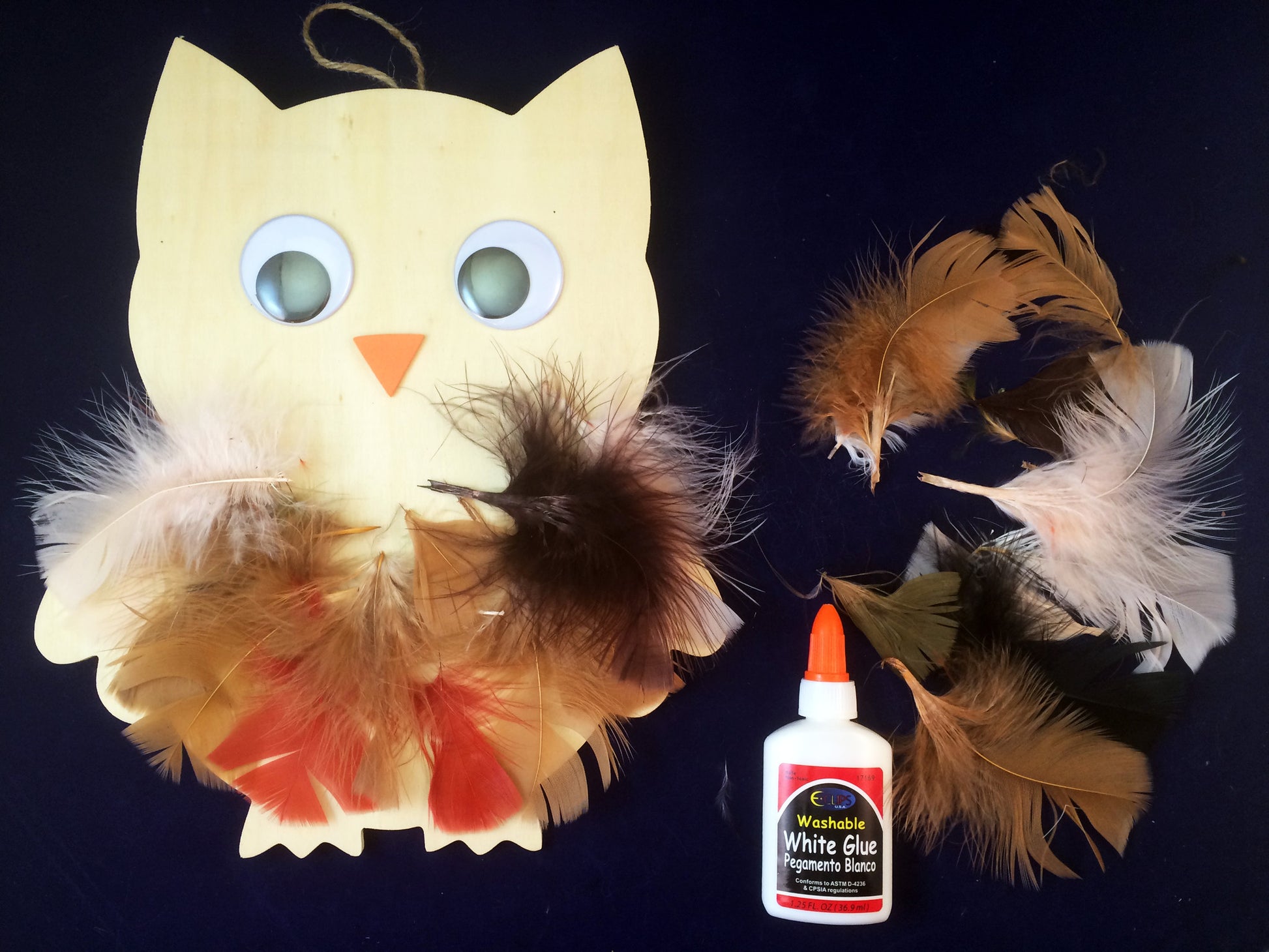 Science and Art Activity - Wooden Owl Collage with Feathers