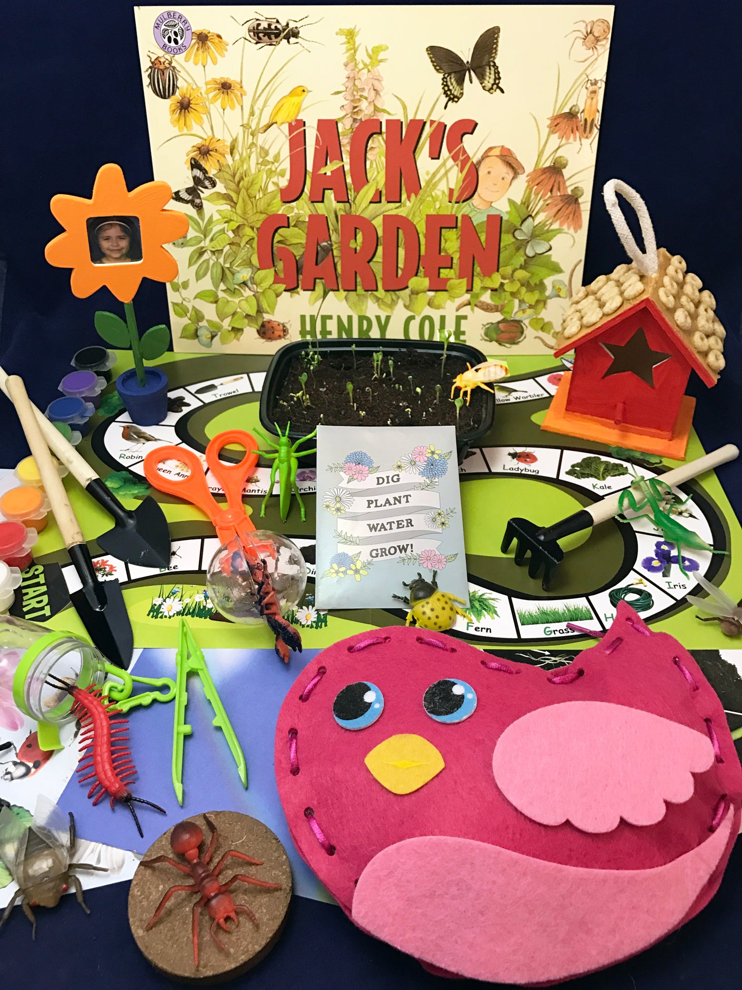 activities inspired by the book Jack's Garden. Springtime and planting activities for children