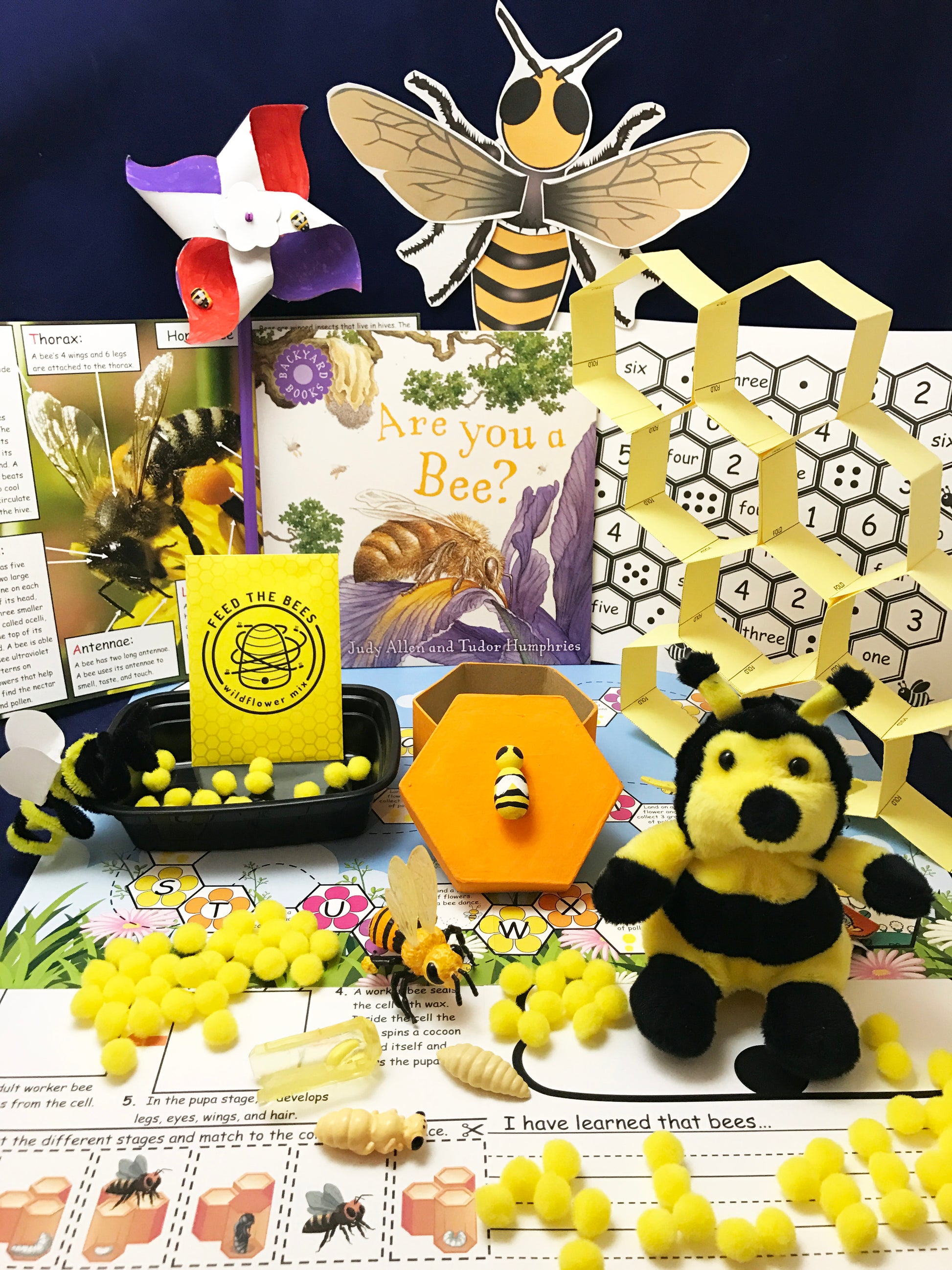STEAM activities inspired by the children's book Are you a bee?
