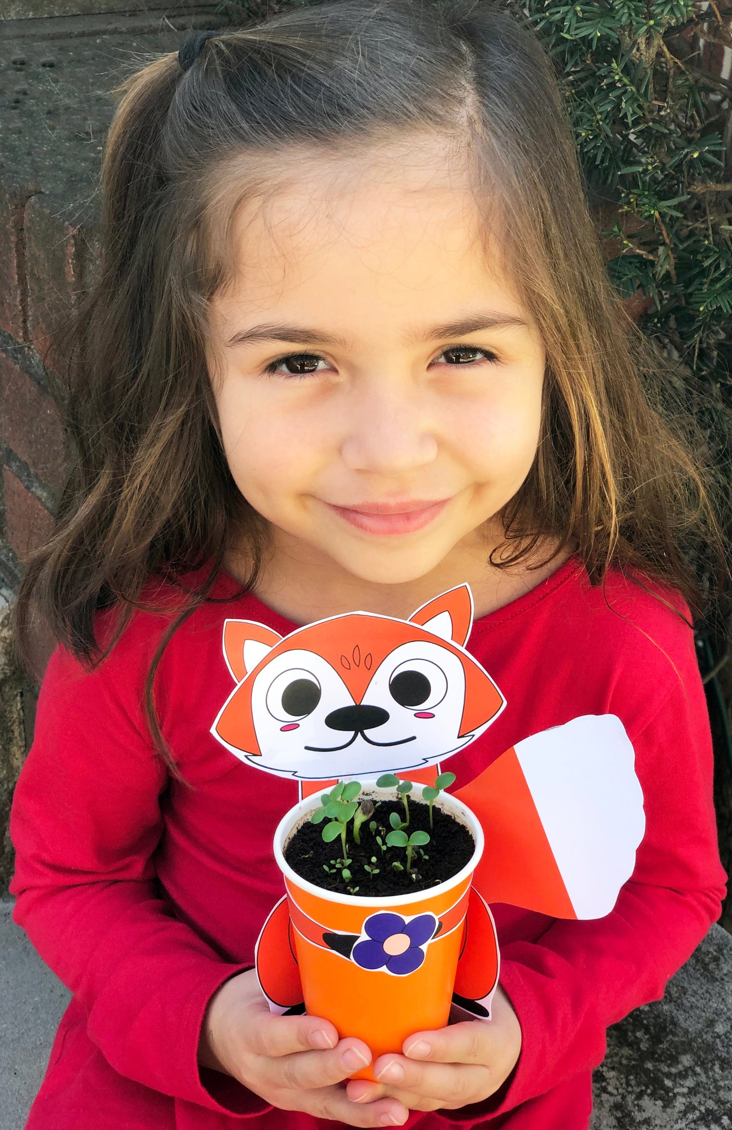 Fox planter craft wildflowers planting with kids