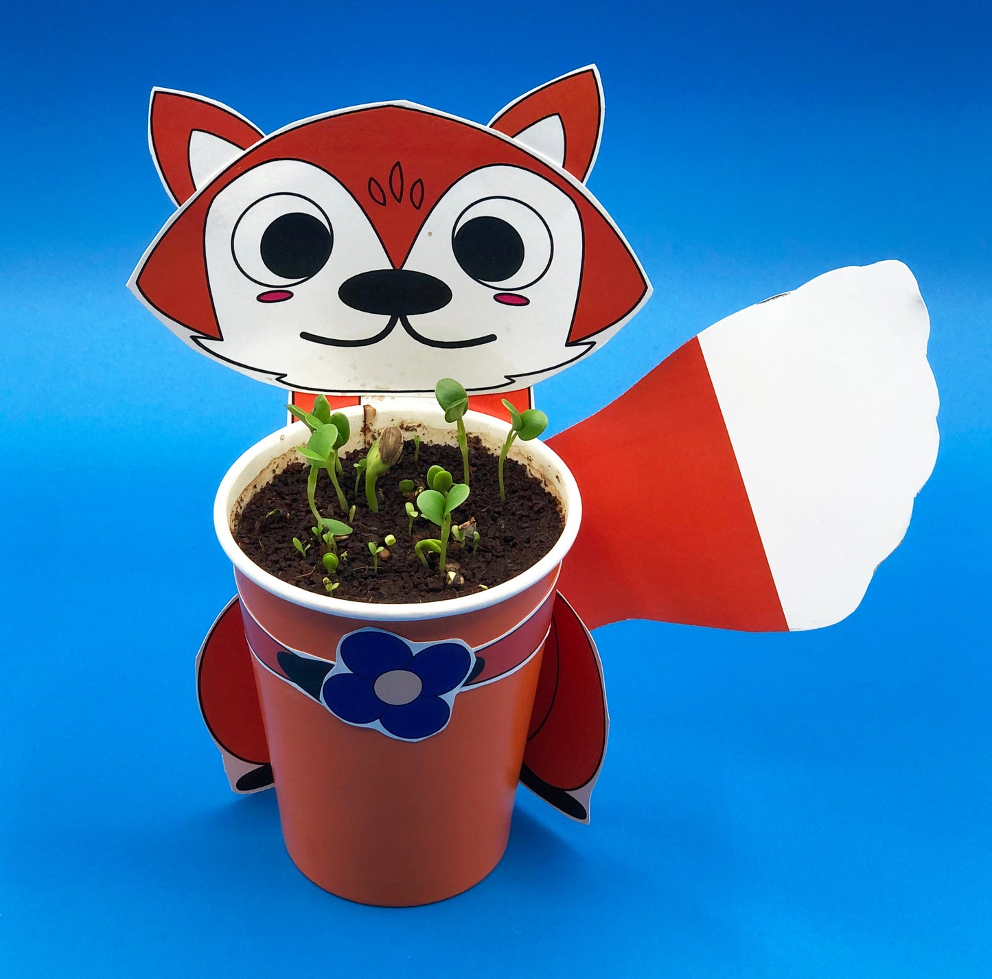 Fox planter craft wildflowers planting with kids