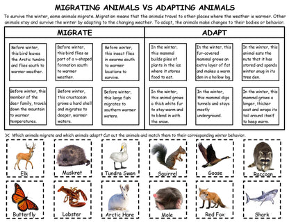 Migrating vs Adapting animals game kids
