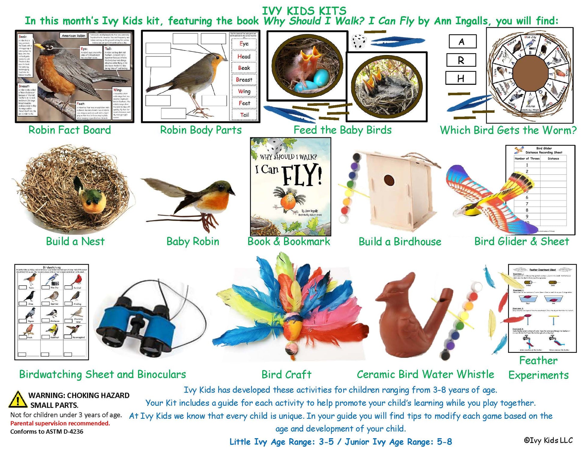 Spring activities for Kids baby birds and flying