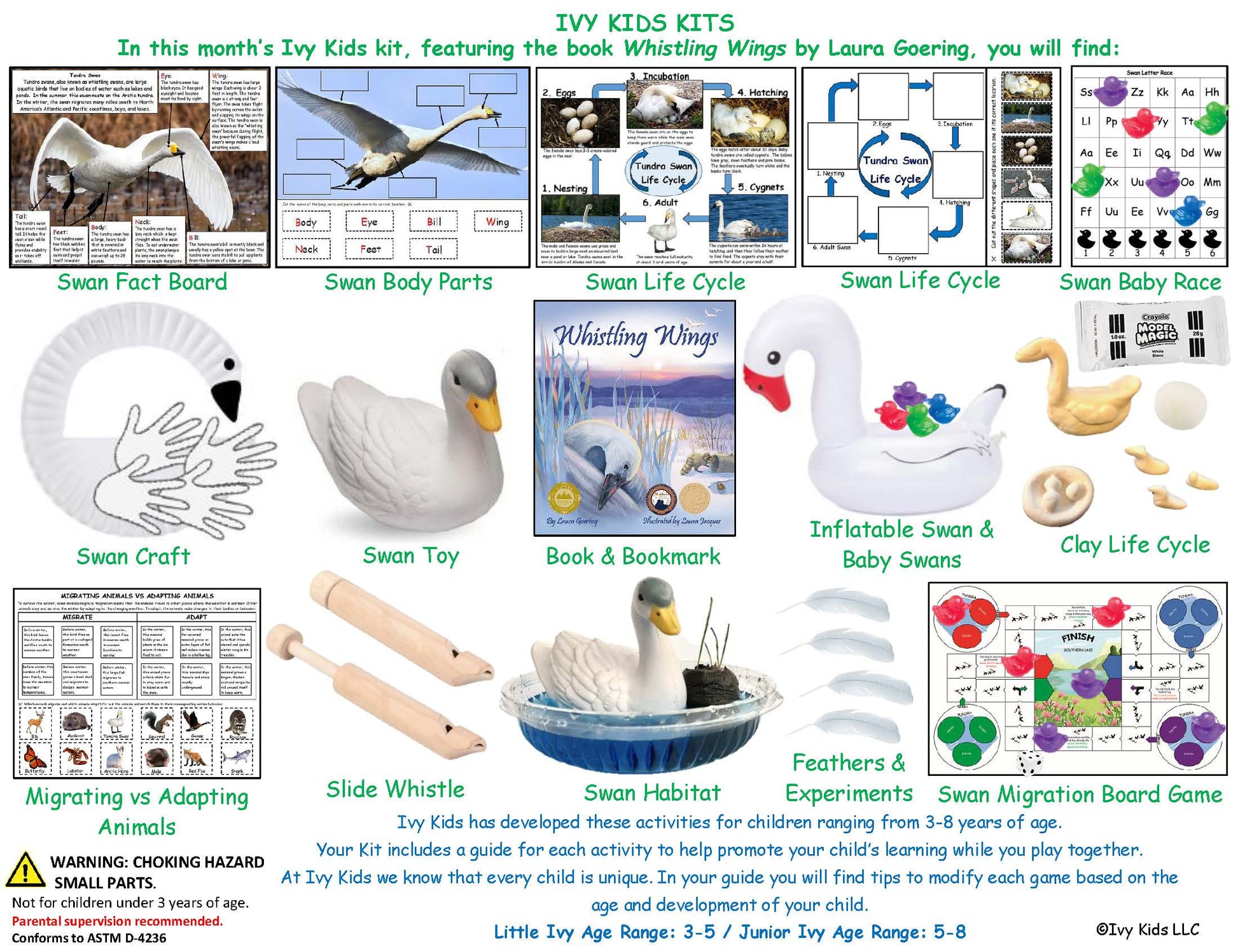 STEM activities for Kids Swan and migration theme