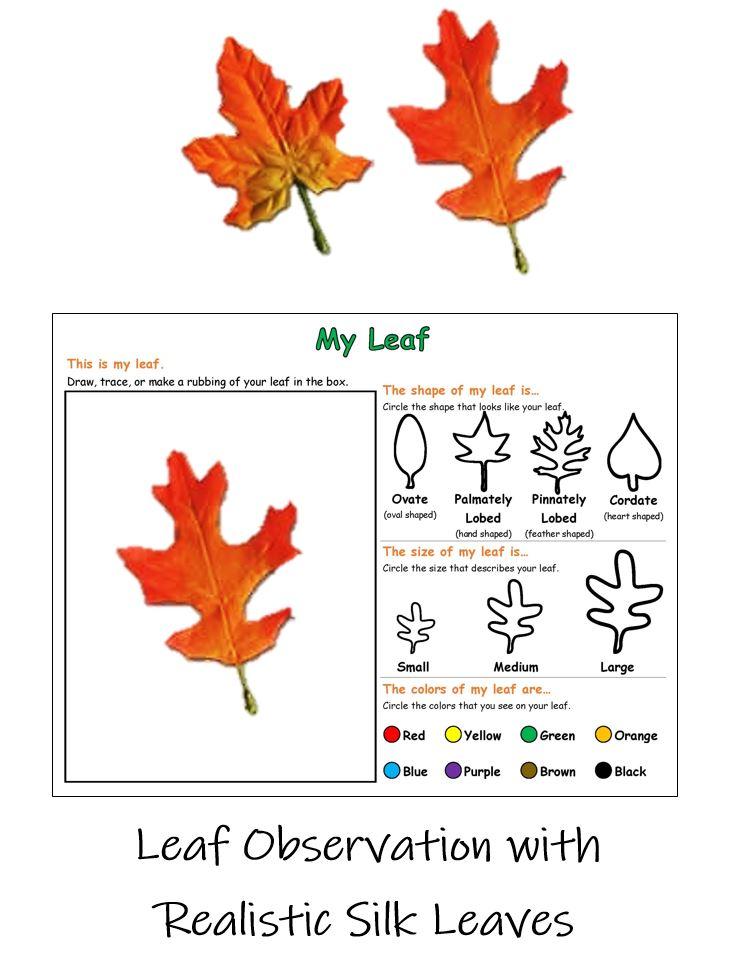 Ivy Kids Kit - Leaf Jumpers